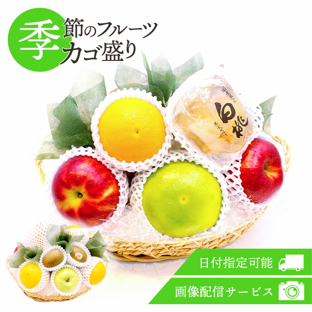 フルーツギフト フルーツ 果物 カゴ盛り かご盛り 籠盛り 盛り合わせ 詰め合わせ 画像配信 セット ギフト 冬の味覚 贈答 プレゼント 贈り物 お祝い 御祝 寒中見舞い 記念日 誕生日 お見舞い お供え 法事 法要 熨斗【メッセージ対応】[フルーツ籠盛りA]