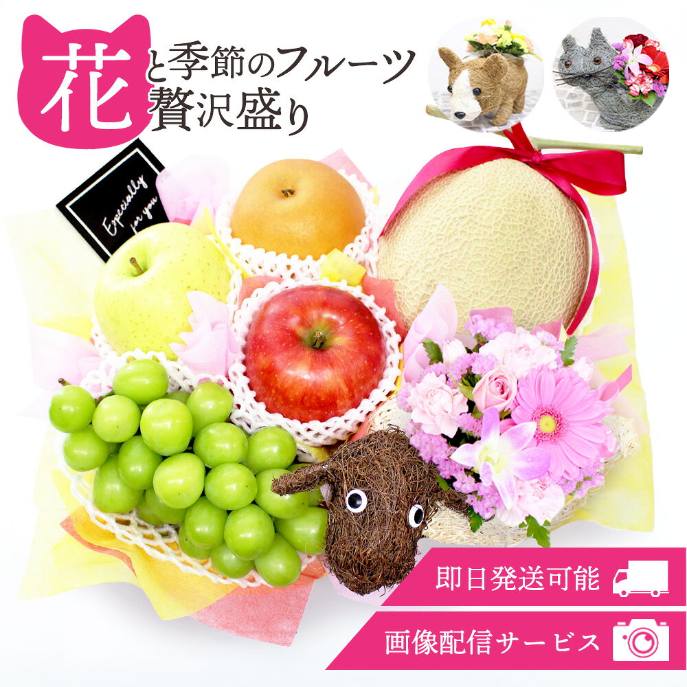 商品 フルーツ盛り合わせとアニマルバスケットアレンジのセット 特徴 【フルーツ】フルーツの内容は完全おまかせとなります。アレルギーなどございましたら避けてお作りいたしますので、お気軽にお申し付けください。また用途欄にて「お見舞い」をご選択いただいた場合は、薬と飲み合わせの悪い柑橘は避けてお作りさせていただきます。お見舞い以外の用途の場合でも、薬を服用中の方へのお届けの場合はご注文時にお書き添えいただければ対応させていただきます。ただ、アレルギーやお見舞い用途の場合はフルーツゼリーをお入れする場合がございますことご了承くださいませ。※フルーツの見た目や味わいは品種により異なりますことご理解のほどよろしくお願いいたします。【生花アレンジメント】こちらの商品は生花アレンジメントです。花束や鉢植えの形式ではございませんのでその点ご注意ください。動物のバスケットとお花イメージをご選択いただけます。お花が終わった後は、鉢カバーや小物入れなどお好きにお使いいただけます。 サイズ（約/cm） &nbsp; 【ひつじさん】幅21×奥行12×高さ18 【ネコちゃん（グレー)】幅19×奥行11×高さ21 【フレンチブルドッグ（茶)】幅22×奥行13×高さ15 ※バスケットのみのサイズです。お花は含みません。 サイズは外径が記載されていますが、1～2cmの誤差がある場合がございます。 また形のゆがみ・編んでいる素材の折れ、飛び出し、ささくれ等がある場合があります。手作り商品の自然な風合いとして個体差をお楽しみください。 お届け不可地域 大阪より発送をしてお届けまで2日以上かかる地域（北海道・青森・秋田・岩手・沖縄・離島）へはお届けができません。誤ってご注文をいただいた場合はキャンセルとさせていただきますのでご留意ください。 お届けにつきまして 発送が完了いたしましたらお荷物番号やお届け予定日を記載したメール（発送通知）を送信させていただいております。　ご在宅の兼ね合いなど、様々なご都合があるかと思いますが生ものでございます為、特にお贈り物の場合はお届け予定日当日中にお受け取りいただけるように先様に事前にご連絡いただくことをお勧めいたします。 用途 御供 お供え 法事 法要 お彼岸 お盆 粗供養 御仏前 御霊前 御祝 お祝い お誕生日 記念日 結婚祝い 結婚記念日 お礼 感謝 お返し お見舞い 出産祝い 出産内祝い 快気祝い お中元 お歳暮 残暑見舞い 暑中見舞い 移転祝い 開業祝 開店祝い 周年祝い 出演祝 就任祝い 退職祝い 粗品 還暦祝い 古希祝い 喜寿祝い 傘寿祝い 米寿祝い 卒寿祝い 白寿祝い 退院祝い 母の日 父の日 敬老の日 手土産 お土産 自宅用