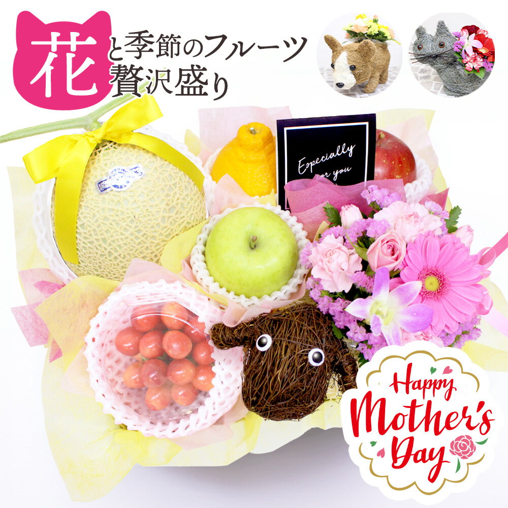 【早割中!】母の日 フルーツギフト フルーツ 果物 盛り合わせ 詰め合わせ 花 フラワー 生花アレンジメント カーネーション イヌ ネコ ひつじ セット ギフト 贈答 プレゼント 贈り物 お祝い 御祝 記念日 誕生日 お供え 期間限定 メッセージカード[母の日フルーツ盛りH]