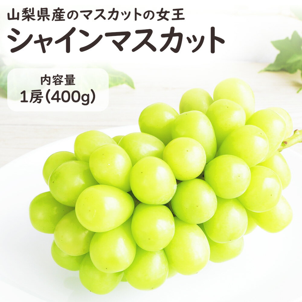 山梨県産 ぶどう シャインマスカット 1房 400g 種無しで皮ごと食べられる今注目の葡萄 シャインマスカットです。送料無料 果物 フルーツ 御中元 お中元 ギフト【MR】[シャインマスカット1房 400g]
