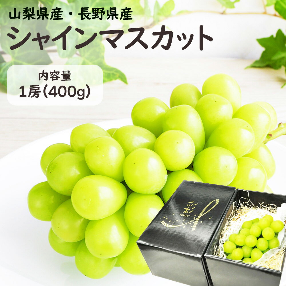 山梨県・長野県産 ぶどう シャインマスカット 1房 400g 種無しで皮ごと食べられる今注目の葡萄 シャインマスカットです。送料無料 果物 フルーツ 御中元 お中元 ギフト