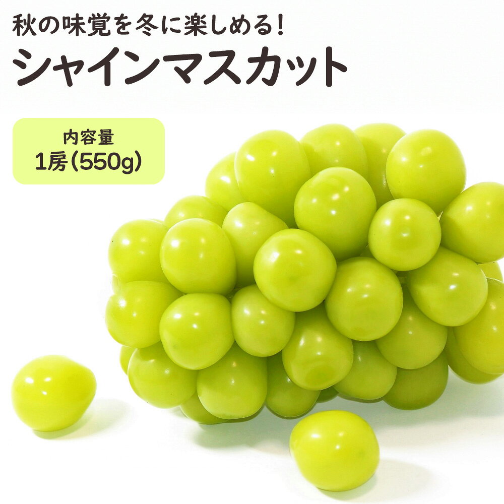 商品 長野県産&nbsp;シャインマスカット 容量 1房（約550g） 発送時期 こちらの商品は、11月下旬から順次発送致します。農作物のため日時指定をお受けすることができかねます。ご理解の程よろしくお願いいたします。 特徴 秋に収穫された新鮮なぶどうを低温冷蔵庫で貯蔵いたしました。種無しで皮ごと食べれると人気No.1のぶどうです。秋の味覚が冬に楽しめます。 　　　 お届けにつきまして 発送が完了いたしましたらお荷物番号やお届け予定日を記載したメール（発送通知）を送信させてい ただいております。　ご在宅の兼ね合いなど、様々なご都合があるかと思いますが生ものでございます為、特に お贈り物の場合はお届け予定日当日中にお受け取りいただけるように先様に事前にご連絡いただくことをお勧め いたします。 用途 御供 粗供養 御仏前 御霊前 お礼 お見舞 出産祝い 出産内祝い 快気祝い お中元 残暑見舞い 暑中見舞い 移転祝い 開業祝 開店祝い 出演祝い 就任祝い 退職祝い 粗品 還暦祝い 古希祝い 喜寿祝い 傘寿祝い 米寿祝い 卒寿祝い 白寿祝い 退院祝い 手土産 お土産