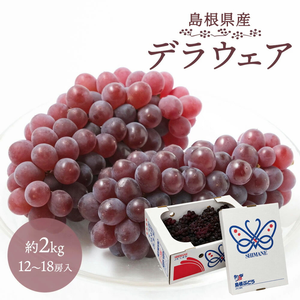 ケース 箱売り デラウェア でらうぇあ 小粒 小粒ぶどう 12～18房 約2kg 島根県産 ぶどう ブドウ 葡萄 種無し 種なし フルーツ 果物 ケース販売 ご家庭用 ご自宅用