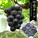 【出荷中!!】ケース 箱売り 山梨 甲斐キング ブラックキング 5〜7房 約3kg ぶどう 高級 大粒 種無し ギフト お中元 御中元 お祝い お供え 自宅用 ...