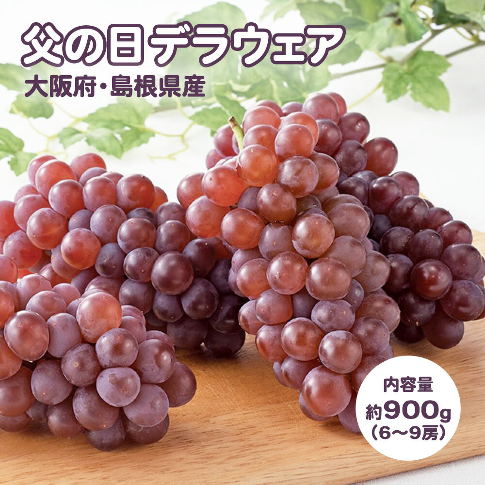 【予約】父の日 ギフト 大阪 島根 デラウェア 900g 6~9房入 ぶどう ブドウ 葡萄 特別 メッセージカード付 プレゼント 贈答 お父さん お..