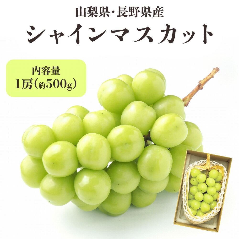シャインマスカット 山梨 長野 500g 1房ぶどう ブドウ 葡萄 フルーツ 果物 お中元 御中元 ギフト 贈答 プレゼント 贈り物 お祝い 御祝 記念日 誕生日 お見舞い お供え 法事 法要 熨斗［山梨・長野 シャインマスカット 500g］