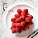 【出荷中】ケース 箱売り 神紅 赤ぶどう 島根 高級 赤葡萄 7〜9房 約 5kg シャインマスカット ベニバラード 掛け合わせブドウ 種なし 皮ごと 葡萄 深...
