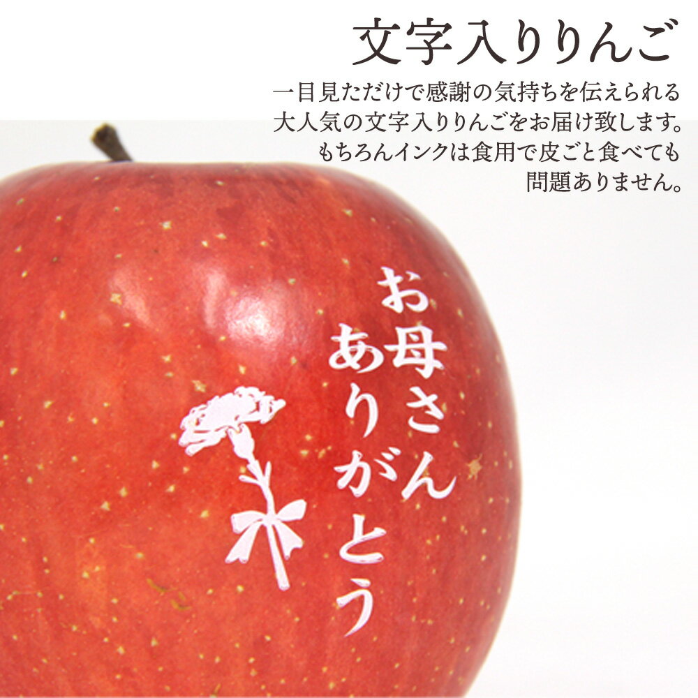 【早割中!!】母の日 メッセージ付 りんご 宮崎県産 マンゴー セット 各1玉 シルクフラワー カーネーション付 2025 プレゼント お母さん ギフト 果物 フルーツ 贈答 [りんご・マンゴー 母の日] 【MR】
