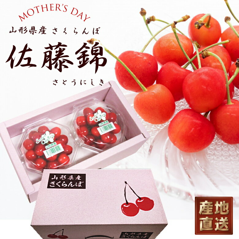 【早割中!】 産直 産地直送 母の日 山形県産 佐藤錦 or 紅秀峰 200g ダイヤパック さくらんぼ 母の日ギフト プレゼント ギフト 送料無料 贈答 ギフトボックス入り フルーツギフト 果物 [（100gダイヤ×2）母の日]【WI】