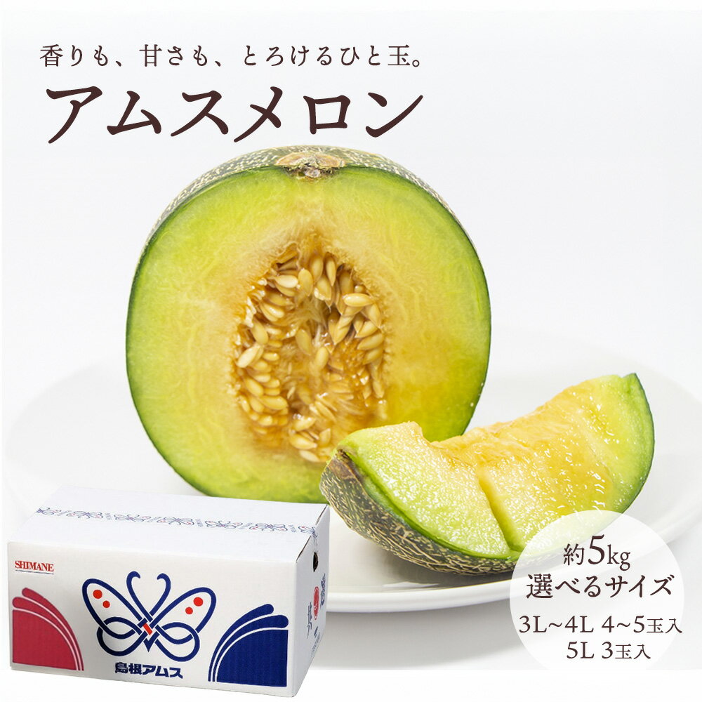 Rakuten - 【6月上旬より順次発送】ケース 箱売り アムスメロン 島根 5kg 3L 4L 5L 幻のメロン めろん ギフト お中元 御中元 お祝い お供え 自宅用 お取り寄せ 【BO】 [アムスメロン（ケース）]
