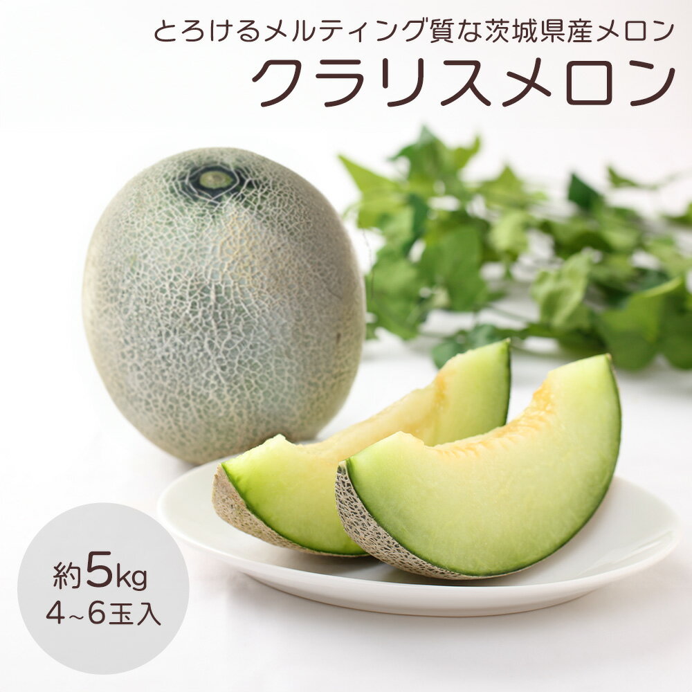 クラリスメロン メロン めろん 4～6玉 約5kg 茨城県産 青肉 緑肉 緑肉メロン フルーツ 果物 ケース販売 ご家庭用 ご自宅用