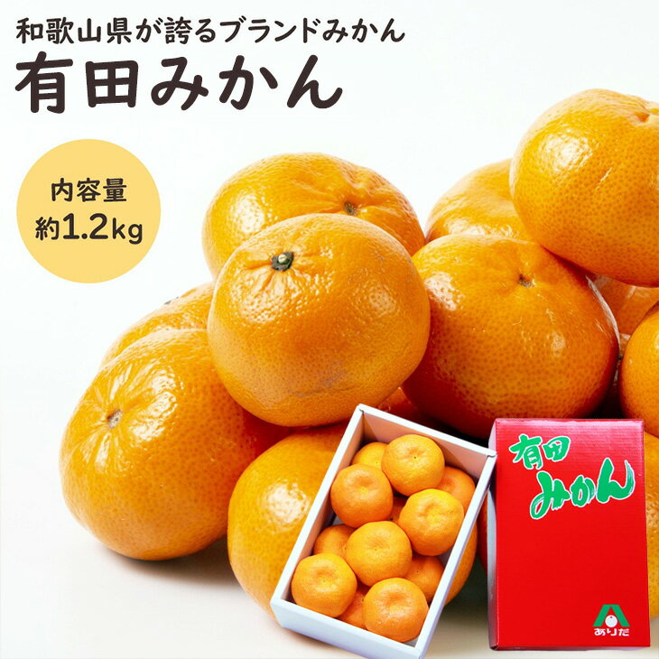 有田 ハウスみかん 有田みかん みかん ミカン 1.2kg フルーツ ギフト 送料無料 果物 お中元ギフト 和歌山 有田 柑橘 お供え お祝い 化粧箱 