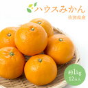 ハウスみかん 温室みかん みかん ミカン 蜜柑 12玉 約1kg 佐賀県産 フルーツ 果物 ギフト 贈り物 贈答 プレゼント お祝い お供え 法事 御供 お彼岸...