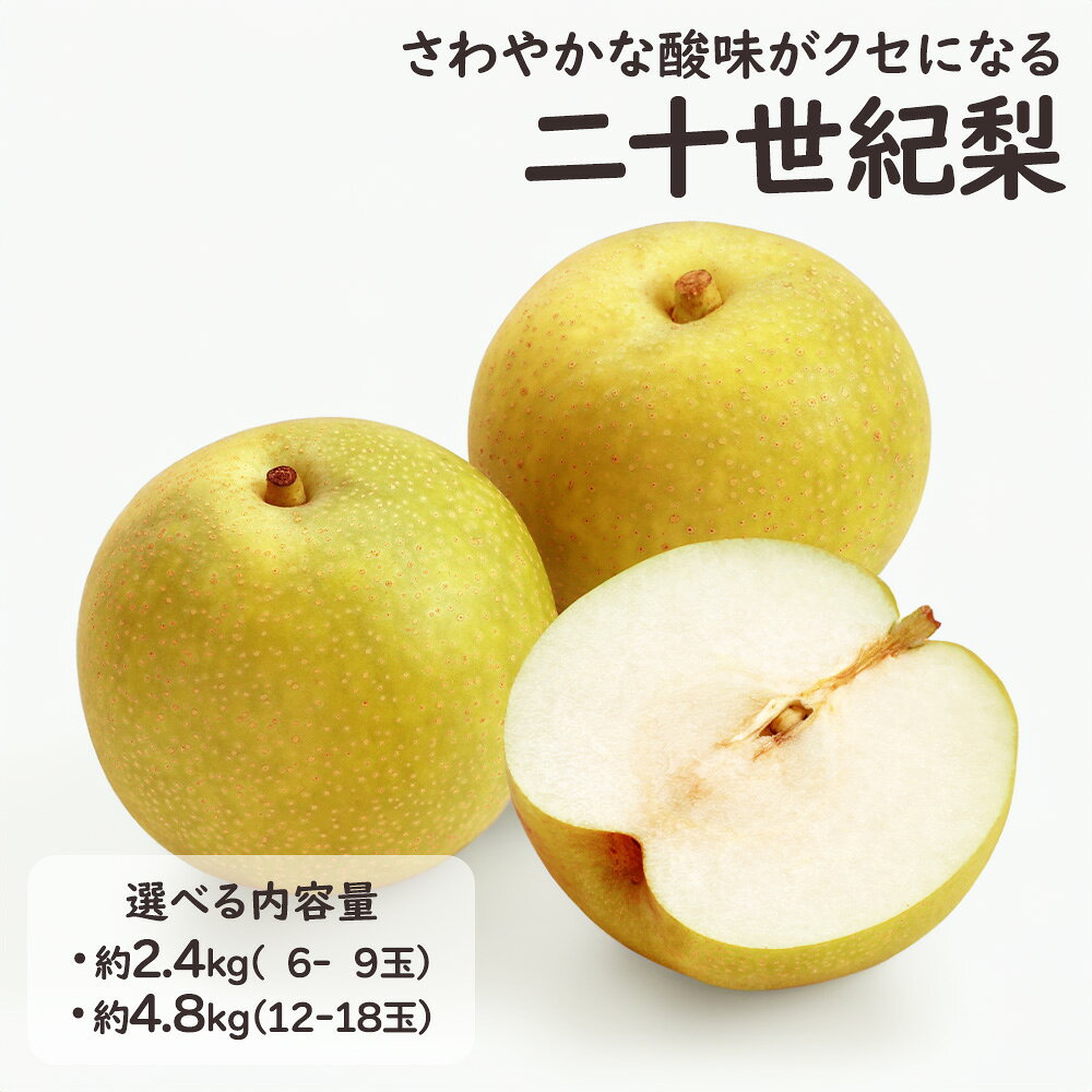 商品 鳥取・長野県産 二十世紀梨 容量 選べる内容量 ・約2.4kg（6～9玉） ・約4.8kg（12～18玉） 発送時期 こちらの商品は9月上旬頃より順次発送いたします。 入荷次第、市場より直送させていただきます。 ※農作物ですので、お届けのご希望を承ることが出来かねます。 ご不便をおかけしますがご理解の程よろしくお願い致します。 特徴 二十世紀梨は、なめらかな果皮と美しい外観が特徴の青梨で、100年以上の歴史を持つ人気品種です。 みずみずしくシャキシャキとした食感で、爽やかな甘みとほどよい酸味のバランスが魅力。赤梨とはひと味違う、二十世紀梨ならではのさっぱりとした味わいをお楽しみいただけます。 産地は鳥取県産・長野県産の中から、仲卸も営む当店がその時期に入荷した品質の良いものを厳選してお届けいたします。 産地はお選びいただけませんので、あらかじめご了承ください。 お召し上がり方 お召し上がりになる1～2時間ほど前に冷蔵庫に入れ、少し冷やしていただくとおいしくお楽しみいただけます。 ※冷やしすぎると甘みや風味を感じにくくなりますのでご注意ください。 お届けにつきまして 発送が完了いたしましたら、お荷物番号やお届け予定日を記載した「発送通知メール」をお送りいたします。 ご在宅の兼ね合いなどもございますが、生ものですので、特にギフト用途の際には お届け予定日当日中にお受け取りいただけるよう、先様に事前のご連絡をおすすめいたします。 用途 二十世紀梨 20世紀梨 鳥取県産 長野県産 梨 なし ナシ 和梨 青梨 フルーツ 果物 旬の果物 お取り寄せ フルーツギフト 贈答用 ギフト 贈り物 御供 粗供養 御仏前 御霊前 お礼 お見舞 出産祝い 出産内祝い 快気祝い お中元 残暑見舞い 暑中見舞い 移転祝い 開業祝 開店祝い 出演祝い 就任祝い 退職祝い 粗品 還暦祝い 古希祝い 喜寿祝い 傘寿祝い 米寿祝い 卒寿祝い 白寿祝い 退院祝い 手土産 お土産