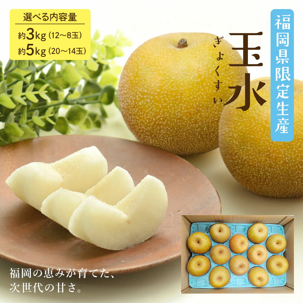 8月上旬より発送 玉水梨 ケース 箱売り 梨 福岡県産 限定 新品種 幸水 選べる内容量 12-8玉 20-14玉 ご家庭用 ご自宅用 でも中身は秀品 送料無料 和梨 なし ナシ フルーツ 果実 果物 夏 お取り寄せ [玉水梨 (ケース)]【BO】 fruitstudio-10000402 フルーツスタジオ+ パッケージ画像
