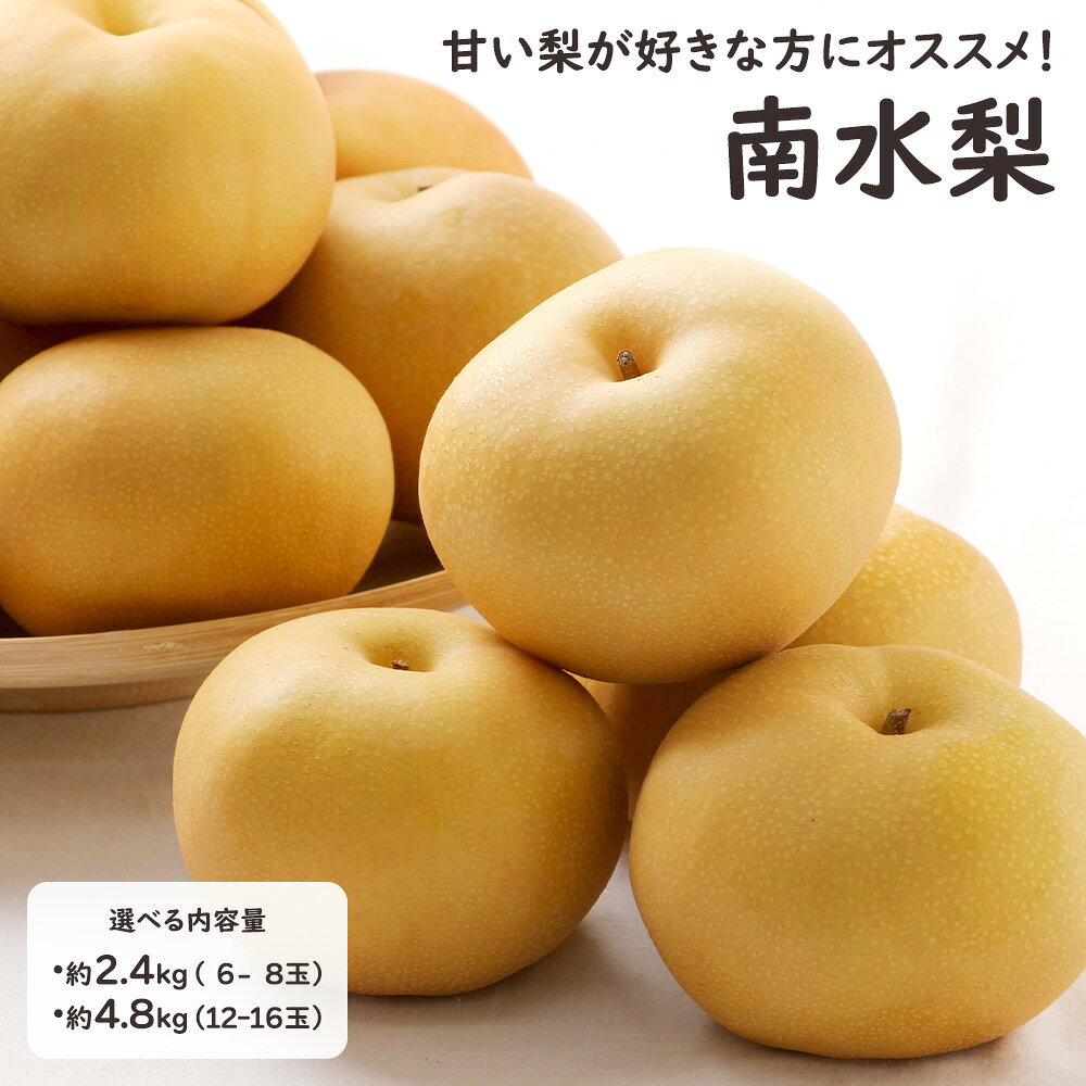 南水梨 南水 梨 なし ナシ 秀品以上 選べる内容量 2.4kg 6-8玉入 4.8kg 12-16玉入 フルーツ 果物 長野 福島 ギフト 贈答 贈り物 プレゼント お祝い お供え 自宅用【MN】