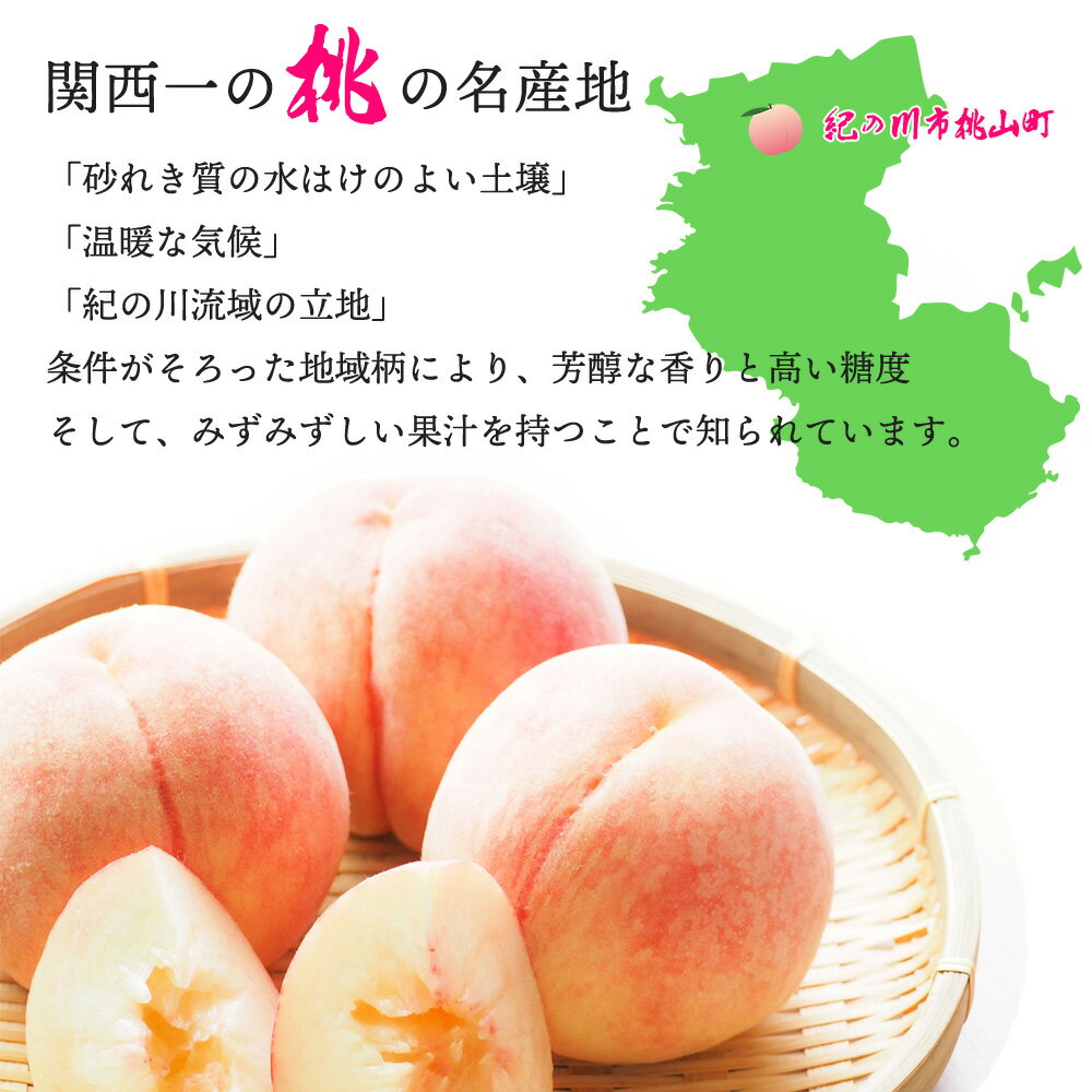 【予約】和歌山 あら川の桃 あらかわ もも 桃 モモ 選べる 1.5～4kg 6~15玉 お中元...