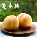 【出荷中】ケース 箱売り 黄金桃 おうごんとう ゴールデンピーチ 希少 もも 桃 モモ お中元 御中元 産地リレー おまかせ 山梨 長野 山形県 福島 フルーツ...