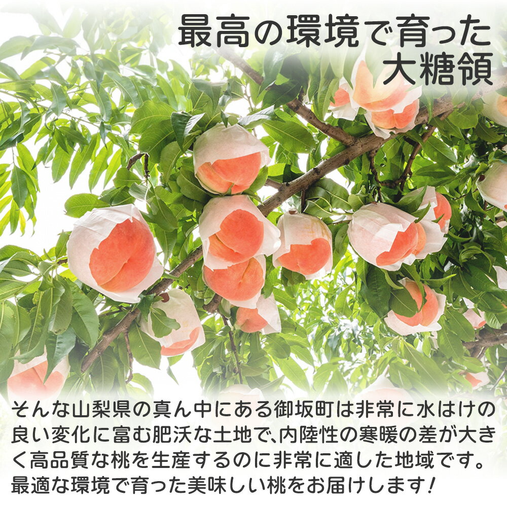 大糖領 山梨 1.8kg 5~6玉 御坂 山梨の桃 ブランド桃 桃 もも モモ フルーツ 果物 ...