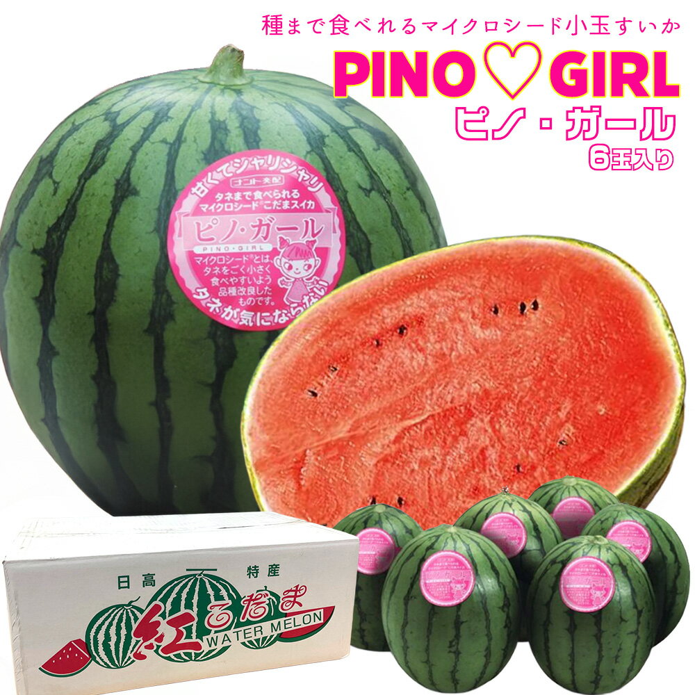 こだま すいか かわいいデザイン・丈夫な箱5個セット 楽天市場】小玉スイカ(総個数5個入り)の通販