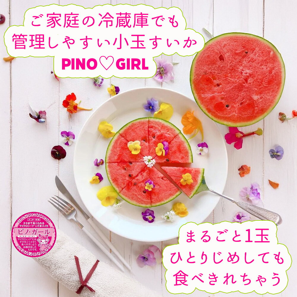 【予約】ケース 箱売り すいか 小玉 小玉すいか ピノ・ガール 6玉入り マイクロシ...