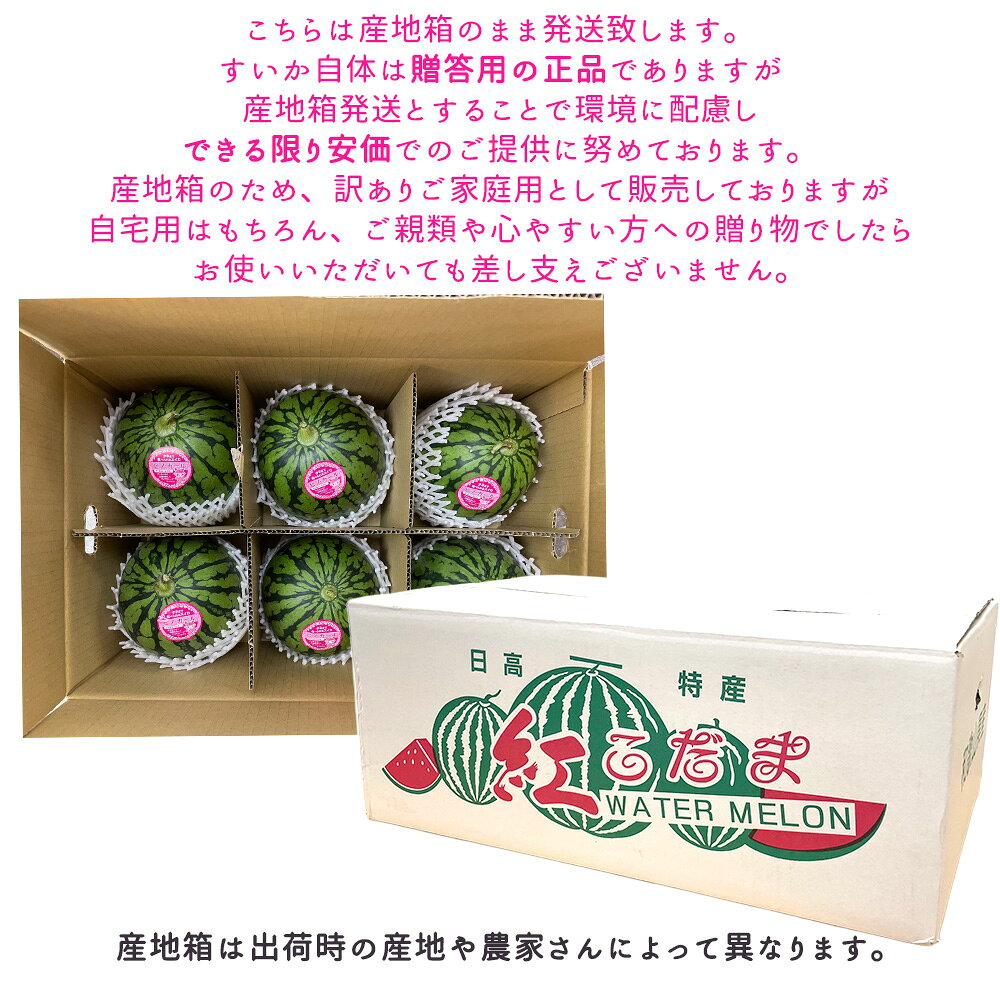 【予約】ケース 箱売り すいか 小玉 小玉すいか ピノ・ガール 6玉入り マイクロシ...