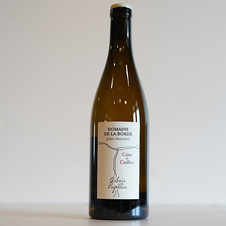 『コート・デ・カイヨ 2021 / ドメーヌ・ド・ラ・ボルド』