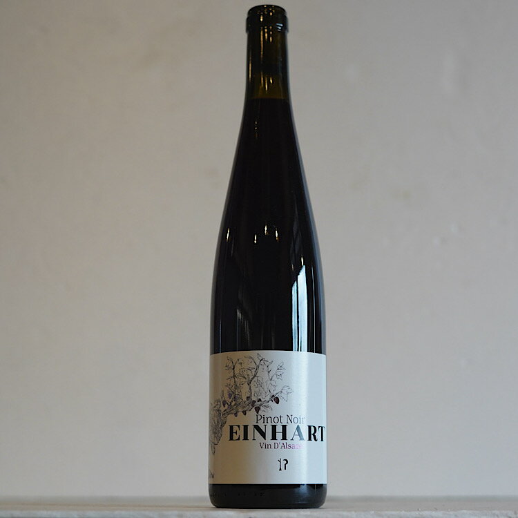 『ピノ・ノワール 2024 / アインハート』