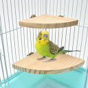 インコ とまり木 (2個セット)『 ハムスター 小動物 などにもご利用頂けます!』 鳥 スタンド 鳥用止まり木 インコ オウム 文鳥 (10cm×10cm +1...