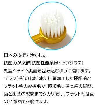 【送料無料】歯ブラシの毛1本1本に抗菌加工抗菌歯ブラシ2本セット歯ブラシ除菌用の炭酸クレンジングプレゼント!