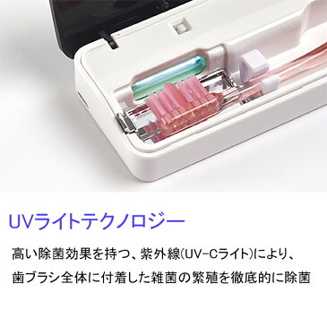 【送料無料】オーラルドクター オーラクリーンPS2 歯ブラシケース