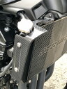 ストライカー Z900RS/CAFE ラジエターサイドシュラウド カーボン TYPE-2 ボルトオン取付タイプ SAD-RSS158C2 エアロデザインSAD カワサキ / ラジエターサイドカバー バイク 部品 カスタムパーツ / STRIKER KAWASAKI Z900RS/CAFE