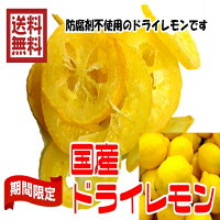 ドライフルーツ 国産ドライフルーツ 国産　輪切りドライレモン