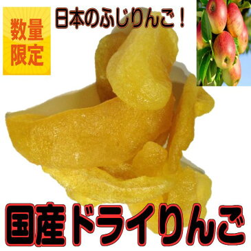 国産ドライりんご くし形切り 半生タイプ 10kg／1kgパックが10袋入り ドライフルーツ 送料無料 （国りんご1kg×10P）国産りんご ビタミンC 国産 リンゴ ソフトタイプ 業務用 お買い得パック