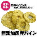送料無料 (無添加 石垣島の無添...