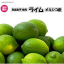 防腐剤不使用（メキシコ産　ライム 10kg）約80〜100個メキシコ　ポストハーベスト農薬不使用　業務用　送料無料 青果　生 ノンケミカル 防カビ剤 防ばい剤 不使用 カクテル モヒート