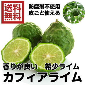 防ばい剤不使用カフィアライム　3K(別名：こぶみかん) ニュージーランド産（カフィア　ライム　3kg 常温）こぶみかん　サイズ込　ポストハーベスト農薬不使用ニュージーランド　青果 ノンケミカル　送料無料