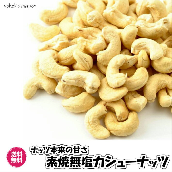 無塩・無油カシューナッツ ロースト ナッツ 送料無料 木の実 無塩 無添加 nuts チャック袋 お試しパック カシュー おつまみ