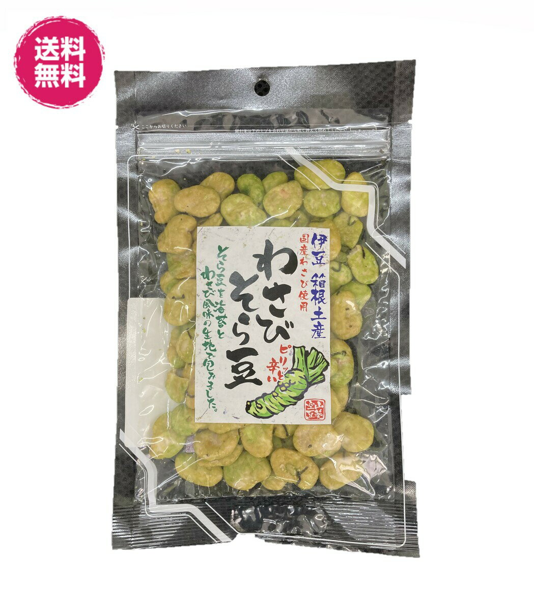 国産わさび使用　わさびそら豆　93gパック10袋 送料無料（わさび豆93g×10P）伊豆　箱根土産　お試し チャック袋 　おつまみ　そら豆　わさび　ピリ辛 徳用