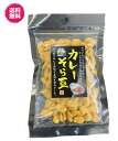 カレーそら豆 93g/袋 送料無料 お試し チャック袋 おつまみ そら豆 カレー風味 ピリ辛 人気 みやげ