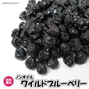 ノンオイル　ブルーベリー　アメリカ産 500g／250gパックが2袋入り 野生種 ドライフルーツ 送料無料（ブルーベリー250g×2P）お試し商品 ワイルドブルーベリー チャック袋 250g US産 その1