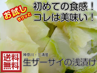 岡本商店 製造直販 野沢菜漬お徳用 【バラ詰め】 3kg 野沢菜 浅漬け 信州 長野県 北信州 木島平 特産品 業務用 お中元 お歳暮 贈答品 国産