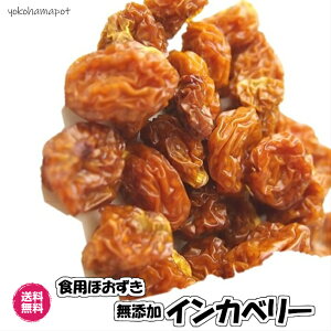 無添加インカベリー 1kg（インカベリー1kg）食用ほおずき ドライフルーツ ゴールデンベリー 無添加 砂糖不使用 送料無料 フォンダンウォーター 栽培時農薬不使用 1kg ジッパー袋 業務用 1000g 食品添加物不使用 チャック袋