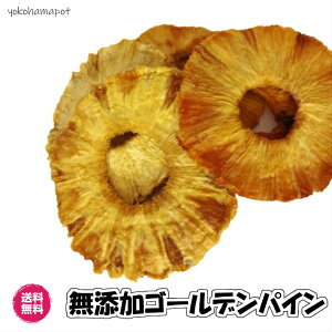 ドライパイン 無添加 ゴールデンパイン （Gパイン60g×3P）180g／60g×3袋 ドライフルーツ パイナップル 無添加ドライフルーツ ドライパイナップル 砂糖不使用 南国フルーツ 輪切り 甘い 完熟 干し果物 パイン フォンダンウォーター おいしい 小分け ギフト 贈り物 送料無料