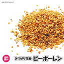 ビーポーレン スペイン産 食用花粉 