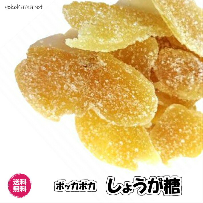 生姜糖 300g／100gパックが3袋入り ドライフルーツ 送料無料（しょうが糖100g×3P） 生姜 しょうが チャック袋 半生タイプ ショウガ おやつ 冬 おやつ ドライ野菜