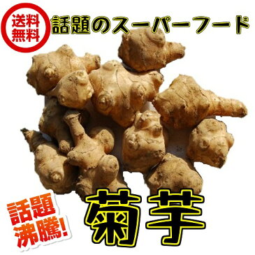 無農薬栽培　洗い（赤菊芋　約1kg　常温 ）サイズ込　イヌリン　菊芋　生　きくいも　青果　キクイモ