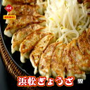 （浜松ぎょうざ　60個）冷凍餃子　餃子　ぎょうざ　産直　1個20g 【本島送料無料】 その1