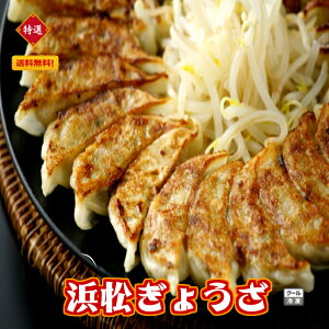 （浜松ぎょうざ　60個）冷凍餃子　餃子　ぎょうざ　産直　1個20g 【本島送料無料】