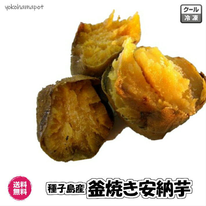 【送料無料】種子島産の安納芋の石窯焼き　焼き芋　500g×3袋　蜜芋　産直